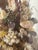 Coastal Antique Sea Shell Floral Bouquet Arrangement With Immortella in Dome For Sale - Image 3 of 5