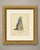 This is an original antique copper engraving from 1757, colored by hand, lettered "habit of an english lady of quality, in...