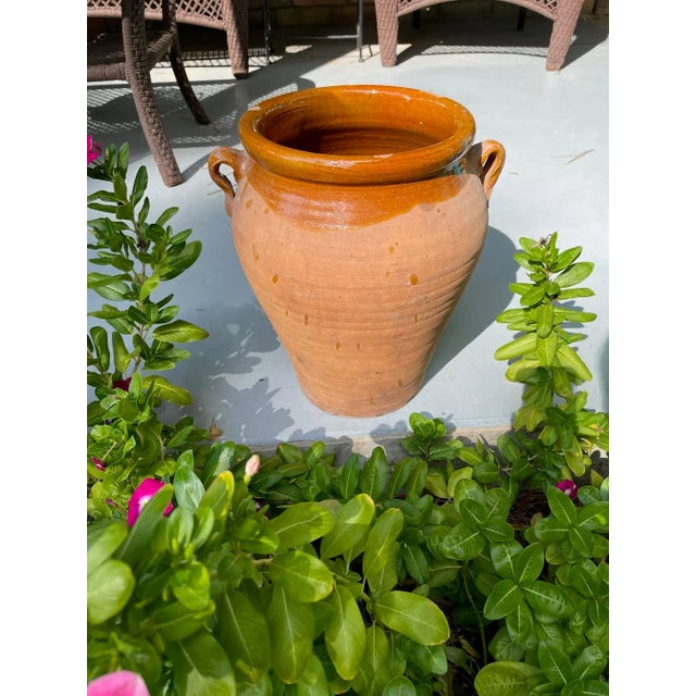 Late 19th Century Antique Spanish Earthenware Olive Jar / Jug For Sale - Image 11 of 12