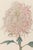 Discover a beautifully restored vintage Japanese botanical print diptych featuring two graceful spider chrysanthemums by...