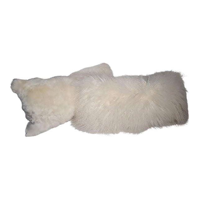 Early 20th Century Two Sheep Skin Fur Pillows For Sale