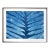 A Natural Color Cyanotype on Paper, "Giant Kelp" For Sale