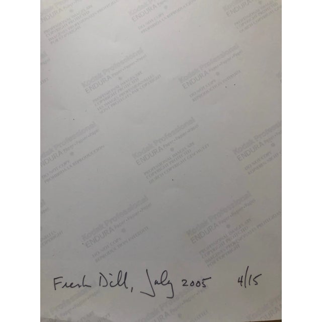 American Peter C. Jones 1, Fresh Dill Large Format Photo 24X20 Color Photograph Beach House RI, 2004 For Sale - Image 3 of 6