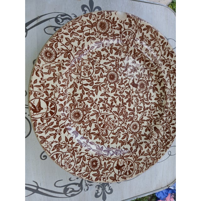Brown Late 19th Century English Brown and White Chintz Transferware Plate For Sale - Image 8 of 8