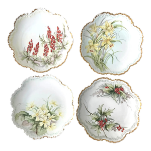Vintage Rosenthal & Co. Monbijou Bavaria Floral Porcelain Plates - Set of Four