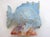 Fish Night Light in Slip-Cast Earthenware by LP Ceroc Monaco, 1950s For Sale - Image 13 of 14