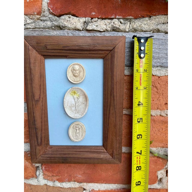 Late 19th Century Italian Plaster Intaglios in 1880s Pine Frame For Sale - Image 5 of 7