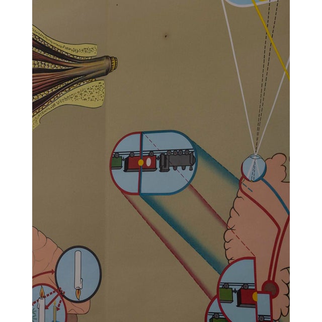 Vintage School Poster the Eye and Its Functions from Lehrmittelverlag Wilhelm Hagemann, 1970s For Sale - Image 6 of 15