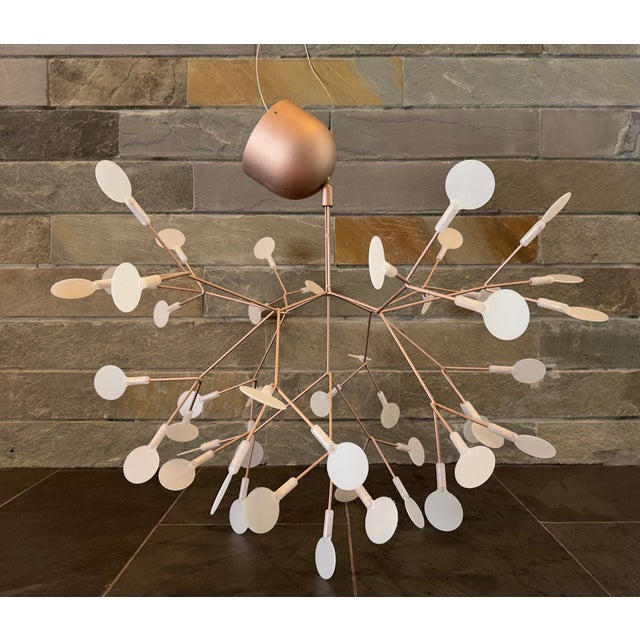 Installed from 2014-2024. Includes significant spare wire (~10 feet) for suspending lights from high ceiling. Fixtures are...