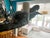 Flock Chandelier by Oly Studio Used; very good condition. Description The Flock Chandelier by Oly Studio brings a touch of...