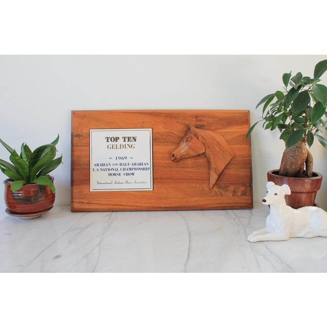Top Ten Gelding 1969 Arabian and Half-Arabian U.S. National Championship Horse Show plaque. Minor age wear. Ready to hang.