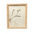Framed Herbarium Collection of Botanical Specimens From 1897, Set of 12 For Sale - Image 11 of 18