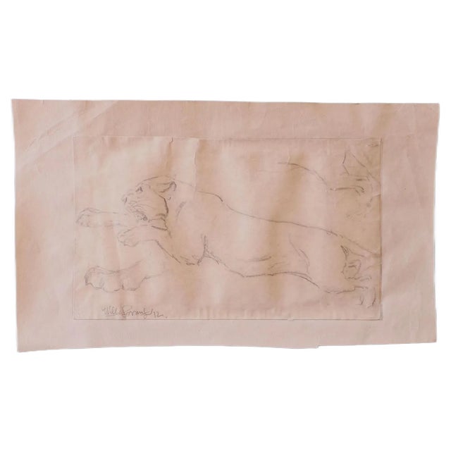 Wilhelm Lorenz, Study of Lion, Pencil Drawing, 1933 For Sale