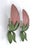 Mid-Century Floral Sconces by Holländer Leuchten, Germany, 1970s, Set of 2 For Sale - Image 12 of 18