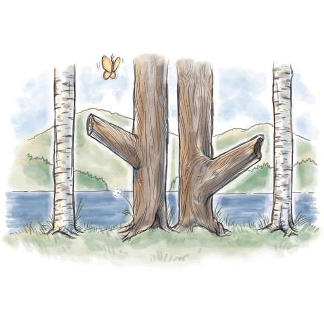 Tree Trunks Porcelain Platter 13" w x 9" h Scalloped Edges a watercolor design on a porcelain platter of two tree trunks...