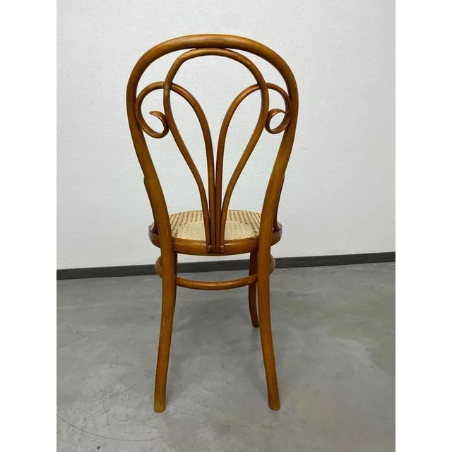 Bentwood Dining Chair by Löbl Wieisskirchen, 1890s For Sale - Image 10 of 12