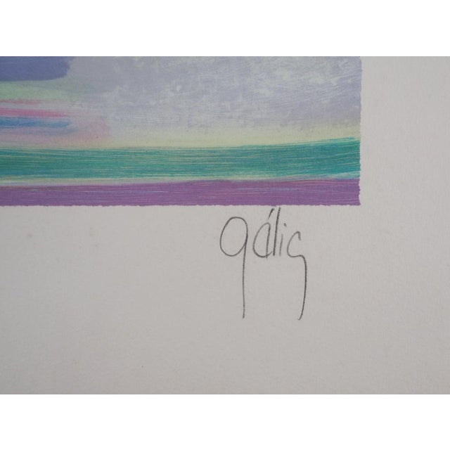 Daniel Gelis, Le bouquet de fleurs, Lithograph For Sale - Image 6 of 8