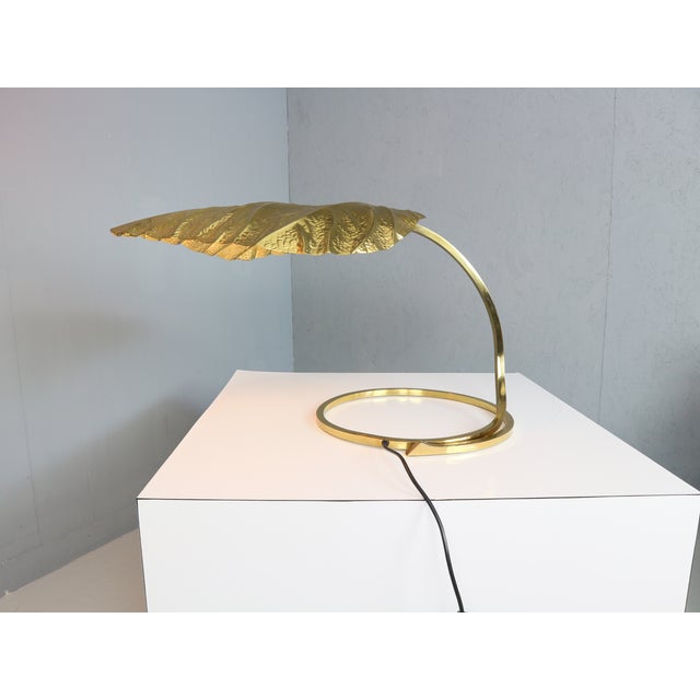 Rhubarb Table Lamp by Tommaso Barbi for Bottega Gadda, 1970 For Sale - Image 10 of 18