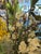 Sculptural Magnolia + Forsythia Silk Botanical Arrangement For Sale - Image 12 of 12