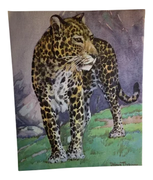 1937 Leopard Book Illustration by Diana Thorne