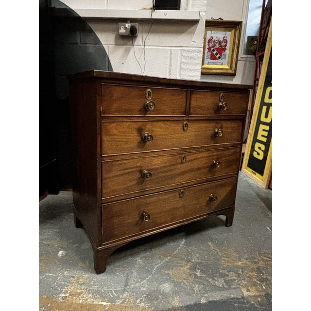 Georgian Chest of Drawers in Mahogany For Sale - Image 3 of 12
