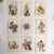 Antique Alice in Wonderland Playing Cards Game by Thomas De La Rue & Co For Sale - Image 12 of 18