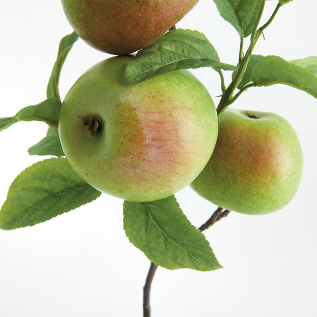 Realism Apple Branches 20" St/4 For Sale - Image 3 of 6