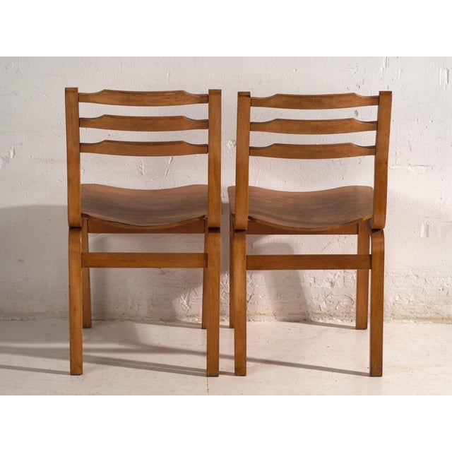 Chairs in Beech and Moulded Plywood, Central Europe, 1960, Set of 3 For Sale - Image 9 of 12