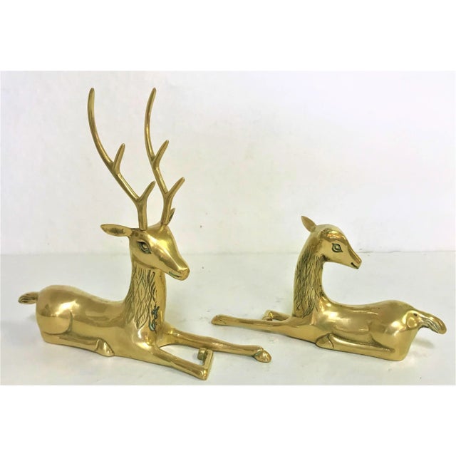 Vintage Brass Buck and Doe Reclining Deer Figurines - a Pair For Sale - Image 10 of 11