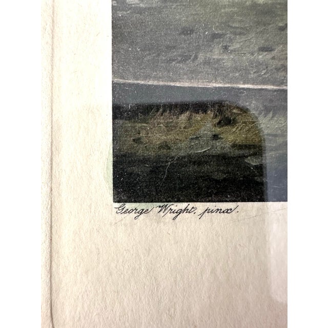 Gray 1950s George Wright Polo Horse Lithograph, Framed For Sale - Image 8 of 12