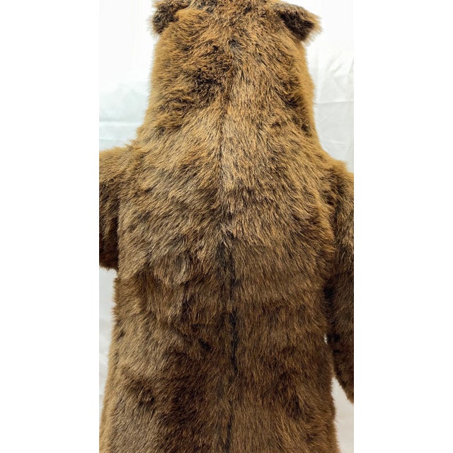 Textile Large Henhouse Bear by the Henhouse Company in Norwalk, Ohio For Sale - Image 7 of 8