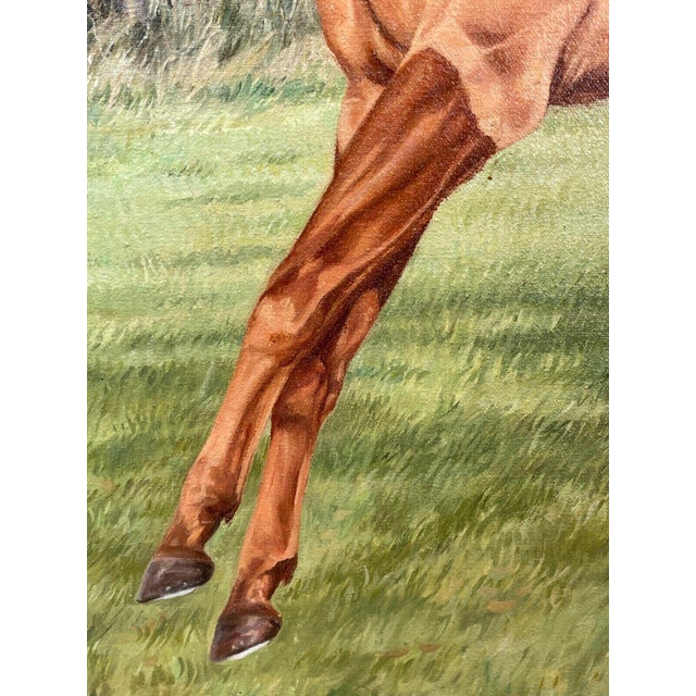 Vintage Traditional Equine Oil Painting of "Londolozi" in a Horse