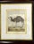 African Vintage Set 4 African Animal Engravings Custom Framed For Sale - Image 3 of 12