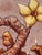 In "Version XIV," a surreal scene unfolds on a cradled wood panel, where organic forms intertwine with earthy textures,...