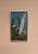 1960s Marit Wahlström Schönbäck, Aqave, 1969, Oil Painting on Canvas, Framed For Sale - Image 5 of 18