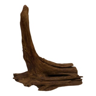 Organic Root Wood Sculpture – Natural Driftwood Object – Organic Modern Decor For Sale
