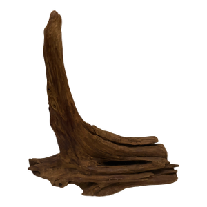 Organic Root Wood Sculpture – Natural Driftwood Object – Organic Modern Decor
