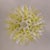 Mid-Century Green and Clear Murano Glass Palmette Chandelier, Italy, 2010s For Sale - Image 6 of 10
