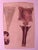 Paper DC Gallet, 10 The Body of Man by Dr. Galet, 1841, Lithographs For Sale - Image 7 of 11