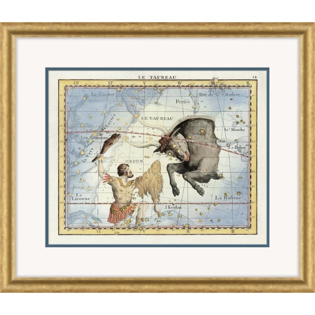 Traditional Taurus Framed Art Print by David Phoenix For Sale - Image 3 of 3
