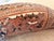 Vintage Intricately Hand-Carved Peruvian Folk Art Storyteller Gourd Rattle For Sale In Baltimore - Image 6 of 15
