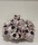 Large Natural Barnacle Cluster Specimen CONDITION: Very Good. Please zoom in on photos and read detailed condition notes...