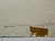 Henry Emil Salloch Original Watercolor on Paper Belfast, Maine. 1948. For Sale In Atlanta - Image 6 of 8