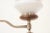 Brown Mid-Century Chandelier, 1960s For Sale - Image 8 of 17
