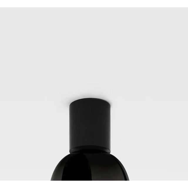 Metal Lighto C Gr and Lighto C Pe Celling Lamp by Jaime Hayon for Parachilna, Set of 2 For Sale - Image 7 of 14