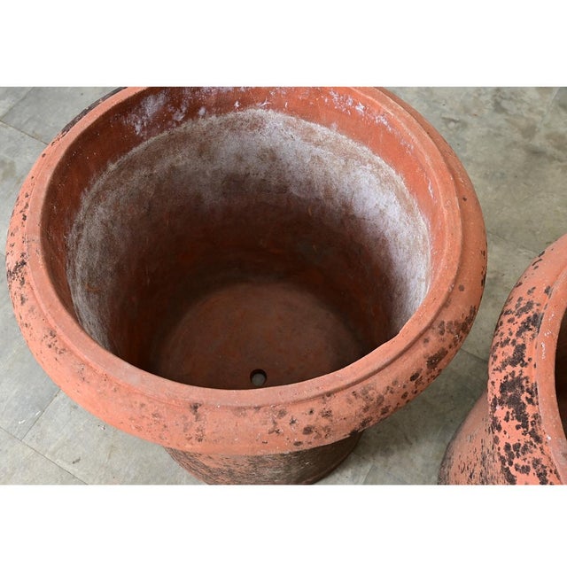 Orange English Pair of Large 20th Century Terracotta Planters For Sale - Image 8 of 11