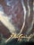 1920s Carl H. Berberich, Elegant Lady in Gold Dress, Oil Painting on Canvas For Sale - Image 5 of 11