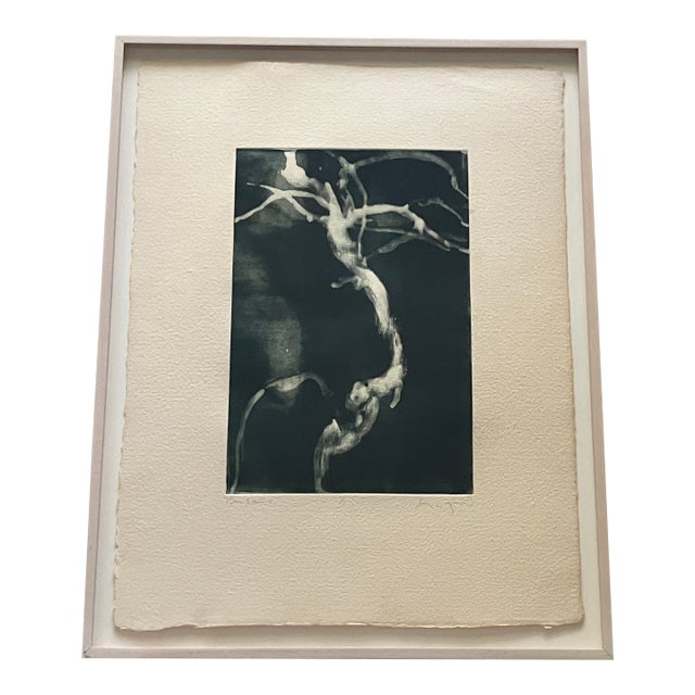 Michael Mazur Original Monoprint, Titled 'Bonsai', Signed, Numbered 1/1, Dated '97 For Sale