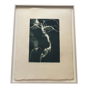 Michael Mazur Original Monoprint, Titled 'Bonsai', Signed, Numbered 1/1, Dated '97