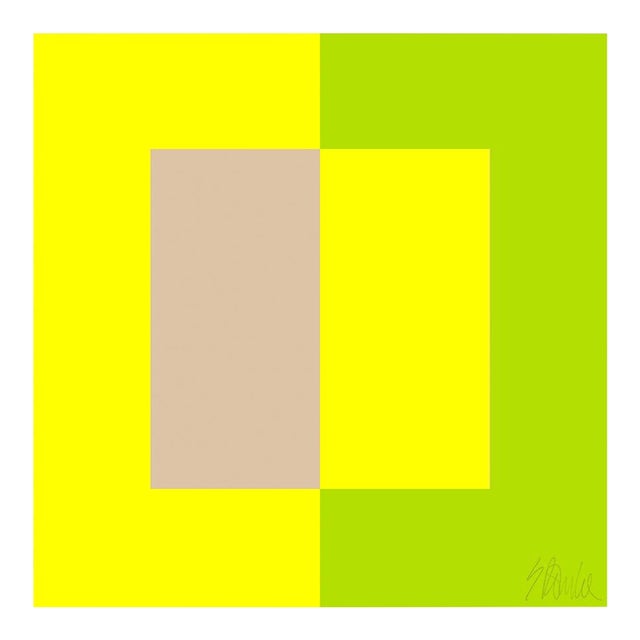 Two Toned Interactions, Lime Fine Art Print 24" X 24" by Liz Roache For Sale